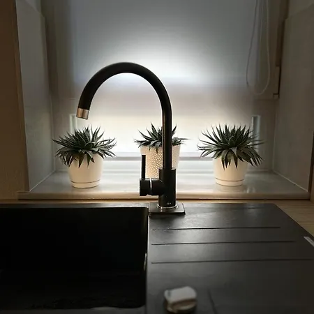Apartment Bright&cozy C1 Brasov