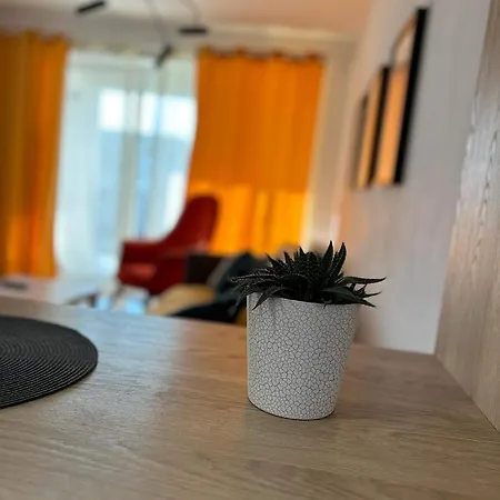 Bright&cozy C1 *