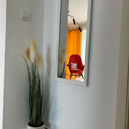 Apartment Bright&cozy C1 Brasov