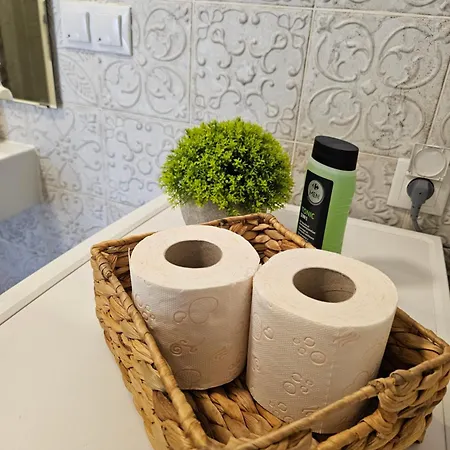 Bright&cozy C1 Apartment Brasov